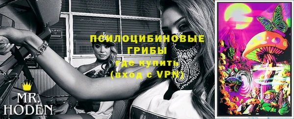 твердый Армянск
