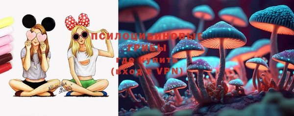 прущая мука Арсеньев
