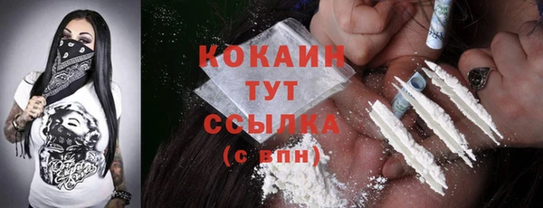 прущая мука Арсеньев